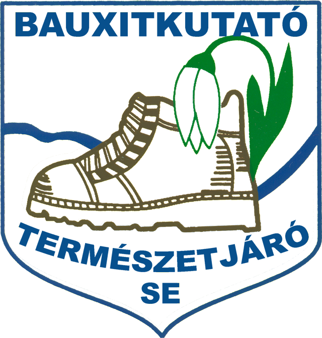 BXTSE vonal Logo